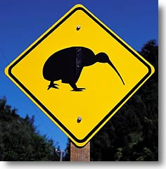 kiwi-sign
