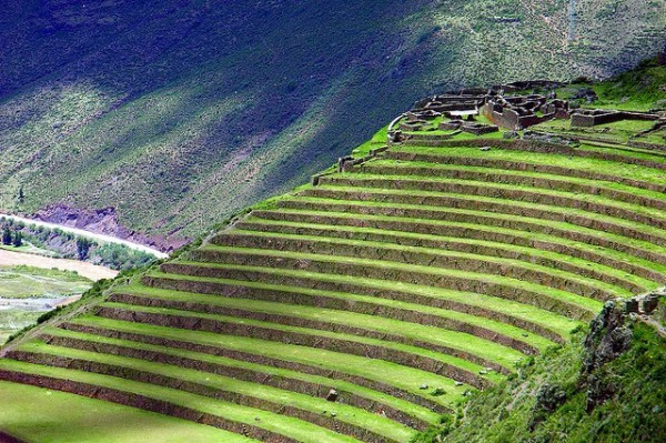 Incredible Terrace Fields