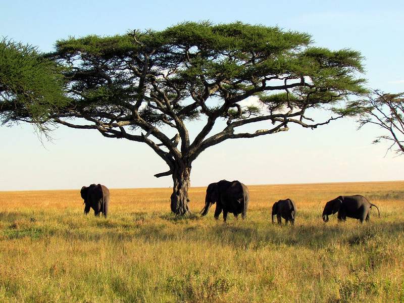 Best places to visit in Africa